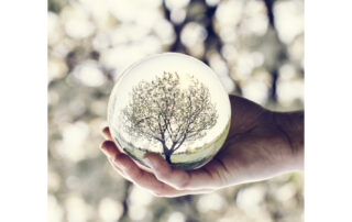 Retrospectives