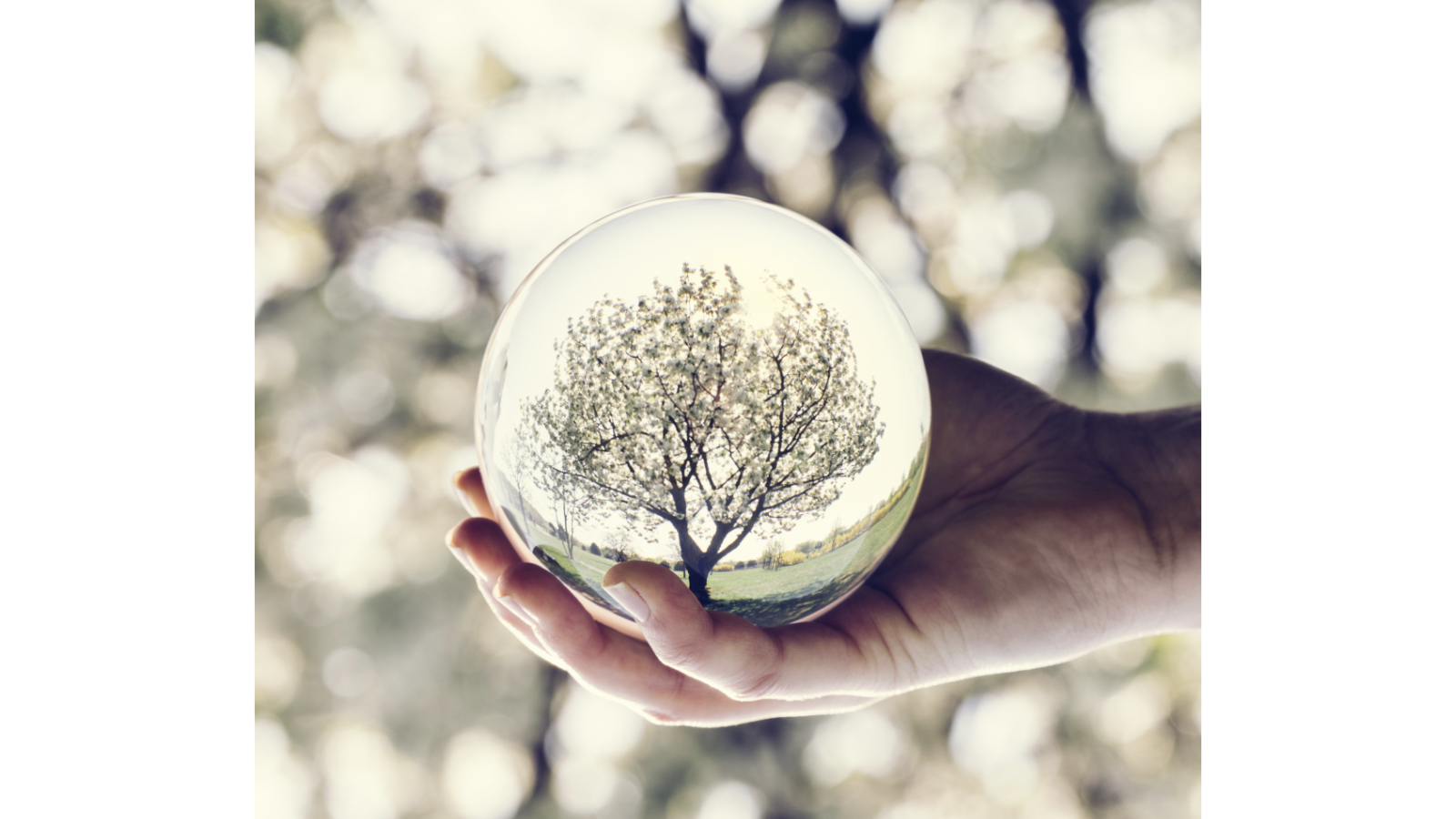 Retrospectives