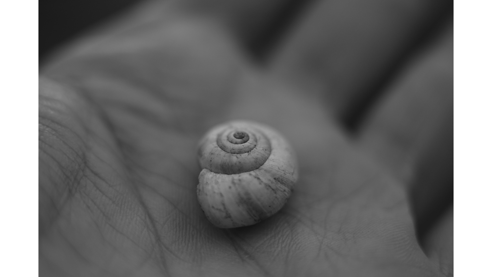 Finding Inspiration in Small Places