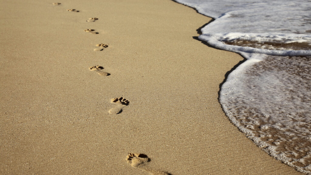 Simple Steps for Presenting Great Ideas
