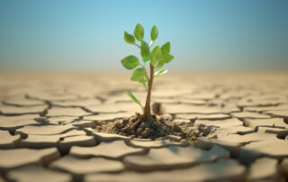 business resilience
