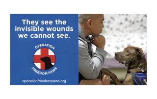 Rebranding a Nonprofit